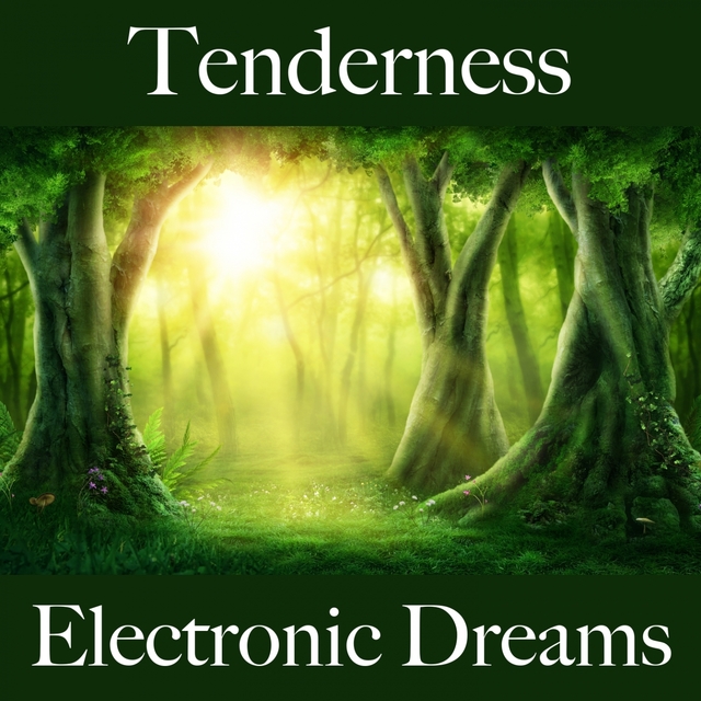 Tenderness: Electronic Dreams - The Best Music For The Sensual Time Together