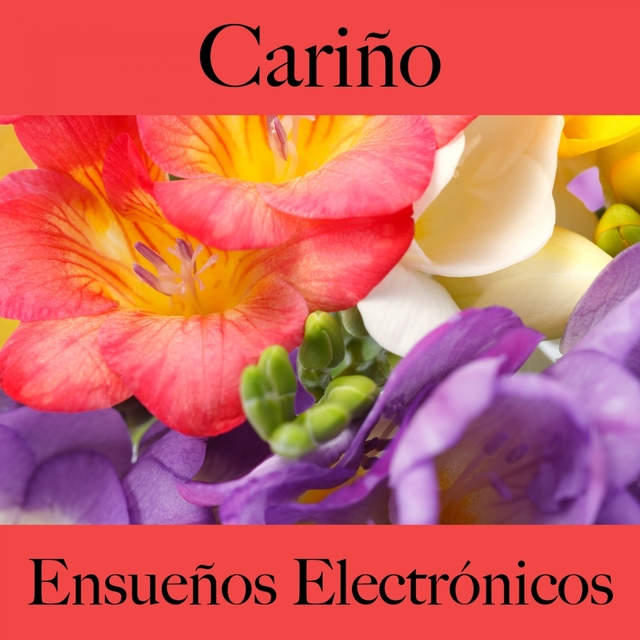 Cariño: Ensueños Electrónicos - La Mejor Música Para El Tiempo Sensual Entre Dos