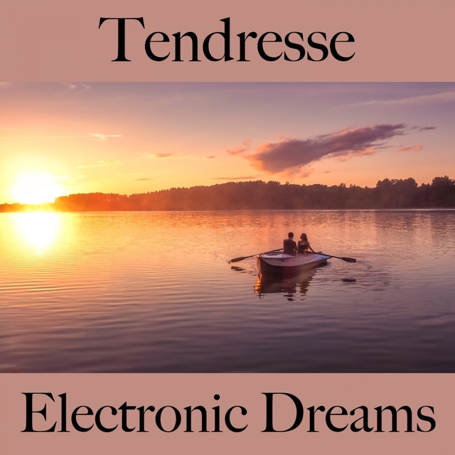 Tendresse: Electronic Dreams - Pour Les Moments De Sensualité À Deux