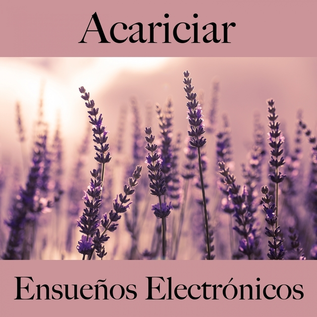 Acariciar: Ensueños Electrónicos - La Mejor Música Para El Tiempo Sensual Entre Dos