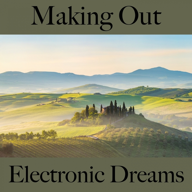 Making Out: Electronic Dreams - The Best Music For The Sensual Time Together