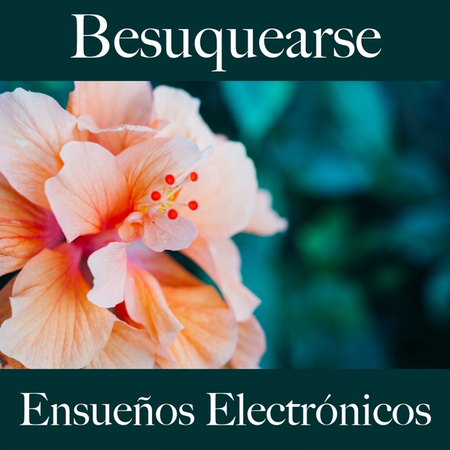 Besuquearse: Ensueños Electrónicos - La Mejor Música Para El Tiempo Sensual Entre Dos