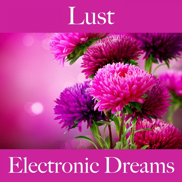 Lust: Electronic Dreams - Die Beste Musik Für Die Sinnliche Zeit Zu Zweit