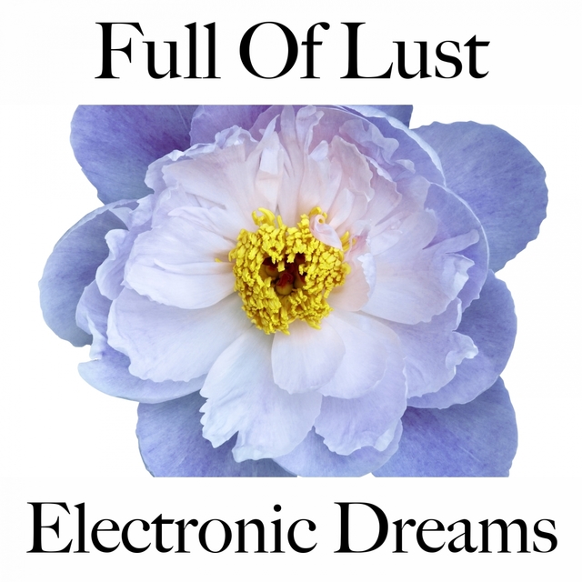 Full Of Lust: Electronic Dreams - The Best Music For The Sensual Time Together