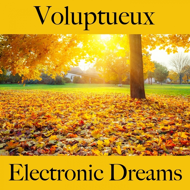 Voluptueux: Electronic Dreams - Pour Les Moments De Sensualité À Deux