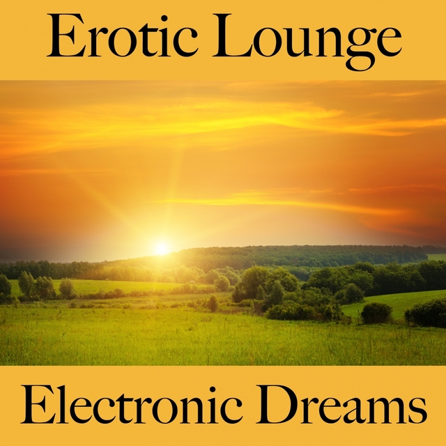 Erotic Lounge: Electronic Dreams - Die Beste Musik Für Die Sinnliche Zeit Zu Zweit