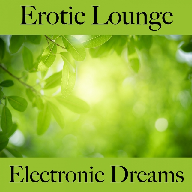 Erotic Lounge: Electronic Dreams - The Best Music For The Sensual Time Together