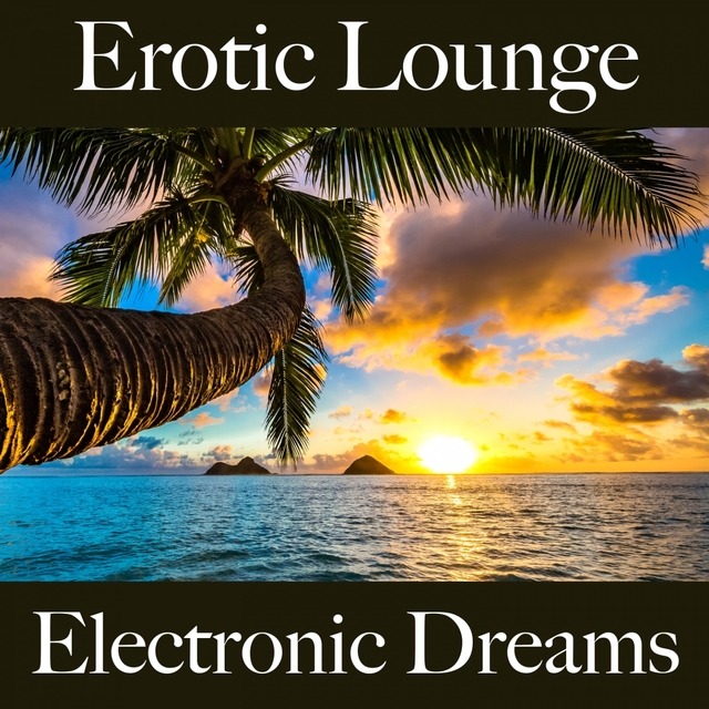 Erotic Lounge: Electronic Dreams - A Melhor Música Para Momentos Sensuais A Dois