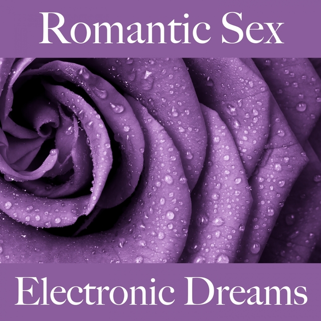 Romantic Sex: Electronic Dreams - The Best Music For The Sensual Time Together