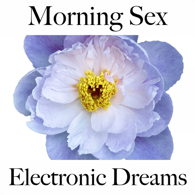 Morning Sex: Electronic Dreams - Pour Les Moments De Sensualité À Deux