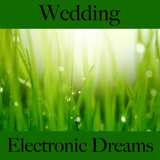 Wedding: Electronic Dreams - The Best Music For The Time Together