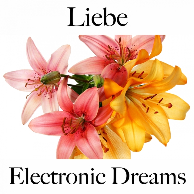 Liebe: Electronic Dreams - Die Beste Musik Für Die Zeit Zu Zweit