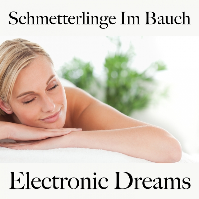 Schmetterlinge Im Bauch: Electronic Dreams - Die Beste Musik Für Die Zeit Zu Zweit