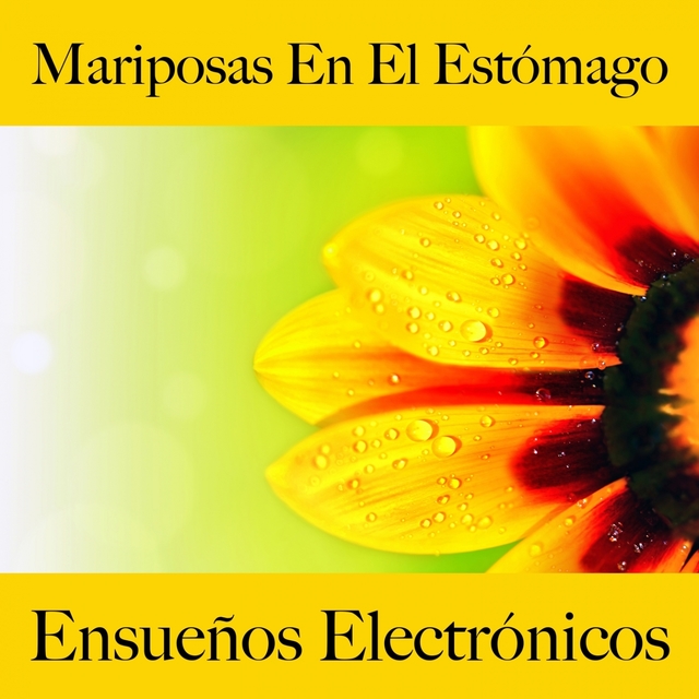 Mariposas En El Estómago: Ensueños Electrónicos - La Mejor Música Para El Tiempo Entre Dos