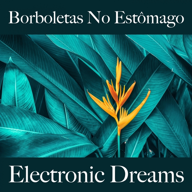 Borboletas No Estômago: Electronic Dreams - A Melhor Música Para Momentos A Dois