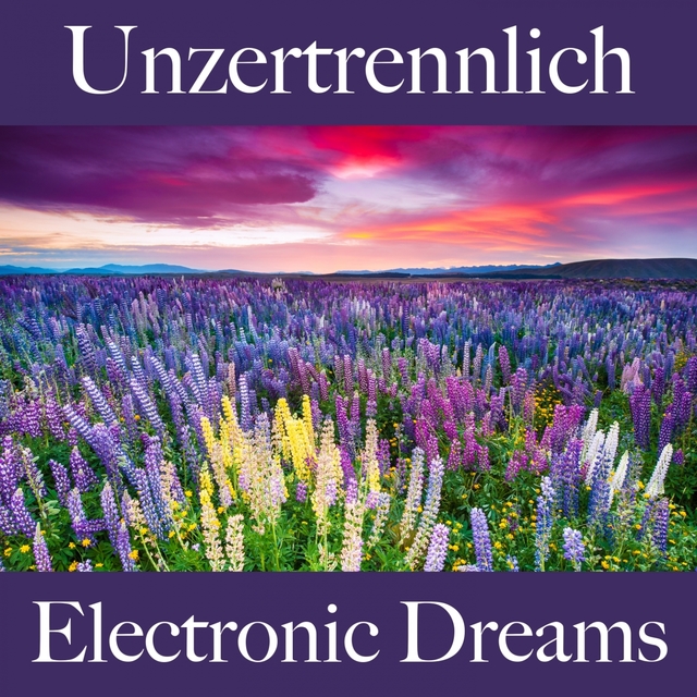 Unzertrennlich: Electronic Dreams - Die Beste Musik Für Die Zeit Zu Zweit