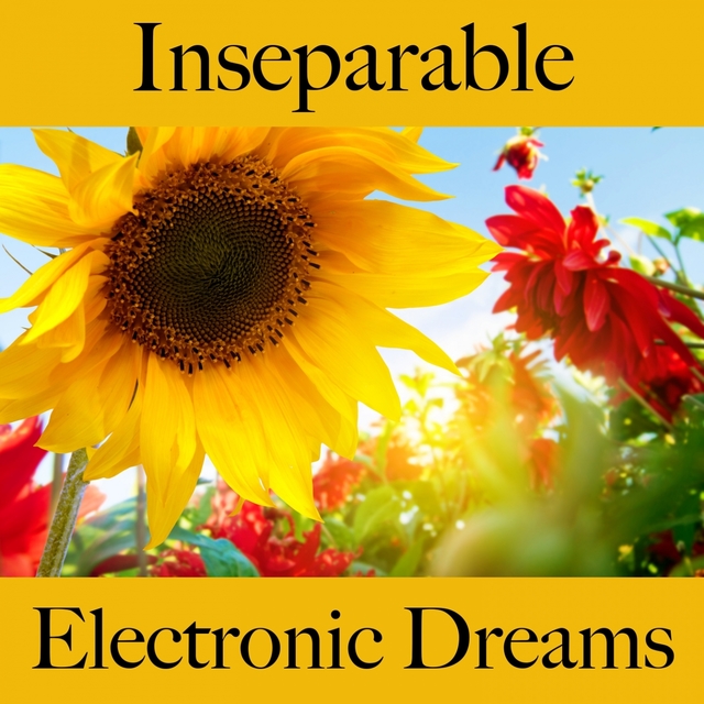 Inseparable: Electronic Dreams - The Best Music For The Time Together