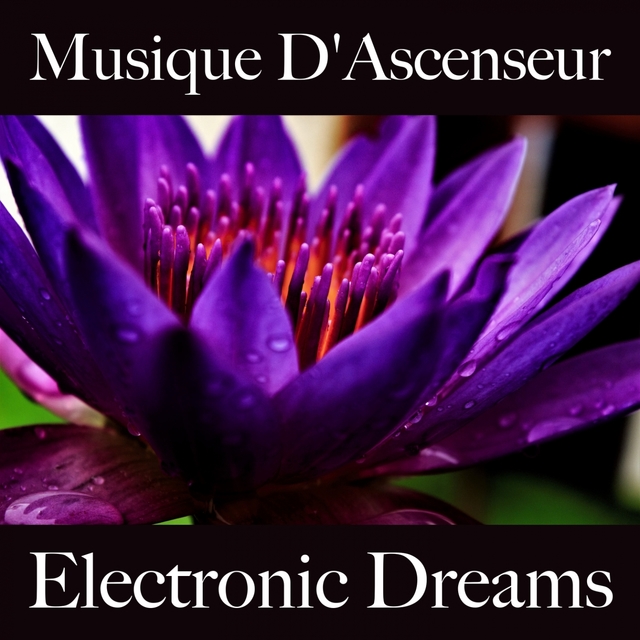 Musique D'Ascenseur: Electronic Dreams - Les Meilleurs Sons Pour Se Détendre