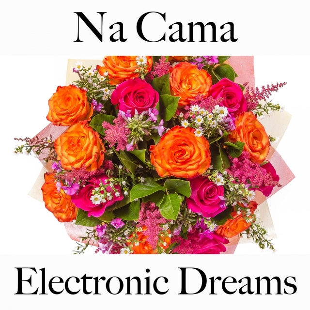 Na Cama: Electronic Dreams - A Melhor Música Para Relaxar