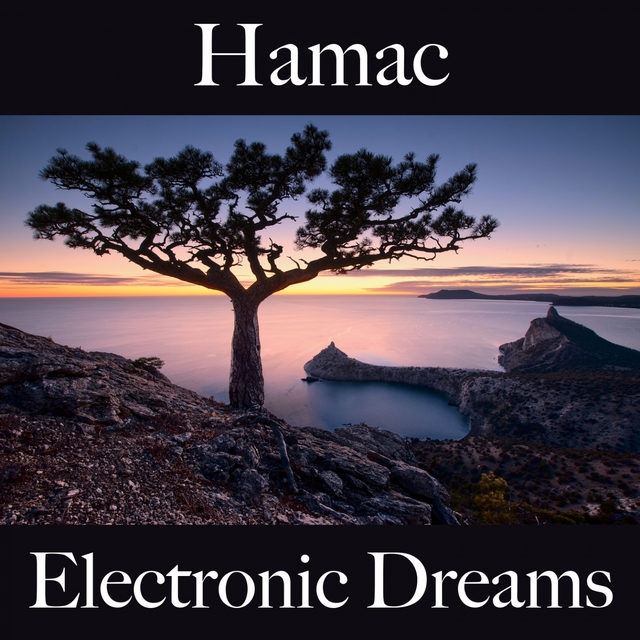 Hamac: Electronic Dreams - La Meilleure Musique Pour Se Détendre