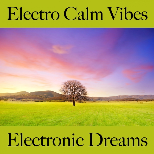 Electro Calm Vibes: Electronic Dreams - Die Besten Sounds Zum Entspannen