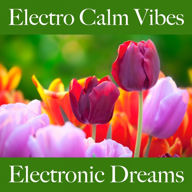 Electro Calm Vibes: Electronic Dreams - The Best Sounds For Relaxation
