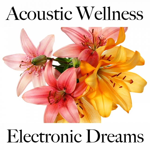 Acoustic Wellness: Electronic Dreams - Die Besten Sounds Zum Entspannen