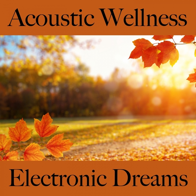 Acoustic Wellness: Electronic Dreams - Os Melhores Sons Para Relaxar