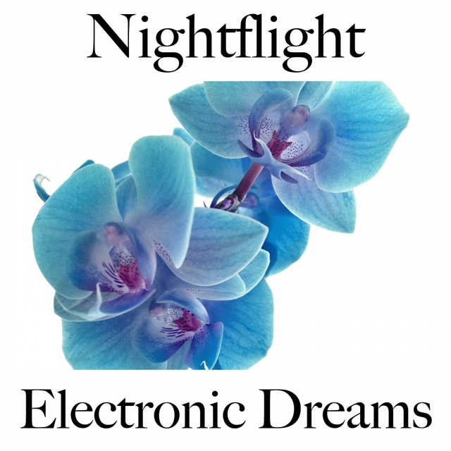 Nightflight: Electronic Dreams - Les Meilleurs Sons Pour Se Détendre