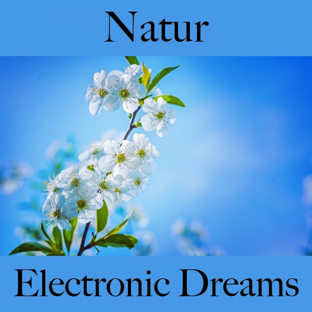 Natur: Electronic Dreams - Die Beste Musik Zum Entspannen