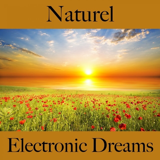 Naturel: Electronic Dreams - La Meilleure Musique Pour Se Détendre