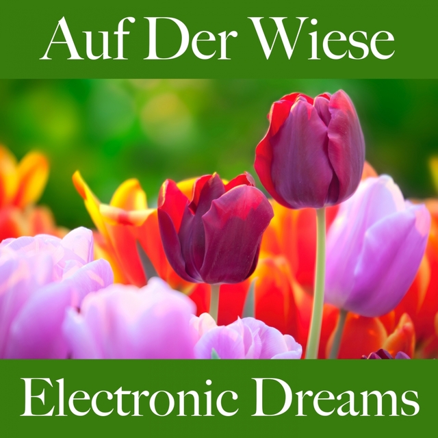 Auf Der Wiese: Electronic Dreams - Die Beste Musik Zum Entspannen