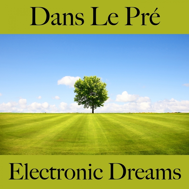 Dans Le Pré: Electronic Dreams - La Meilleure Musique Pour Se Détendre