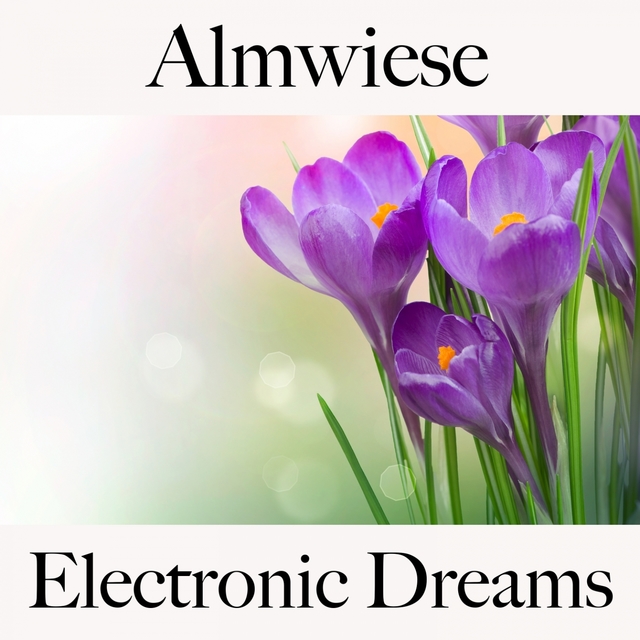 Almwiese: Electronic Dreams - Die Beste Musik Zum Entspannen