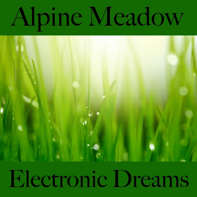 Alpine Meadow: Electronic Dreams - The Best Music For Relaxation