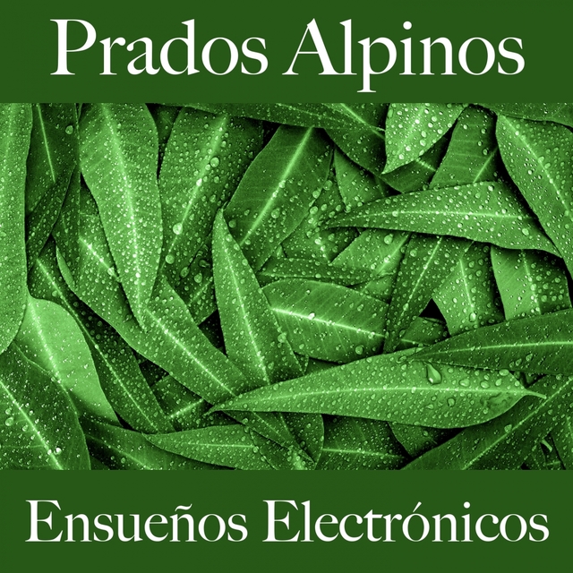 Prados Alpinos: Ensueños Electrónicos - La Mejor Música Para Descansarse