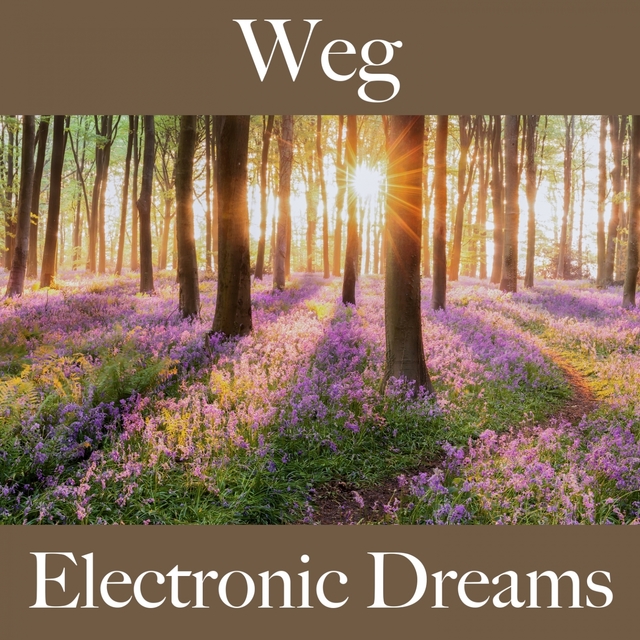 Weg: Electronic Dreams - Die Beste Musik Zum Entspannen