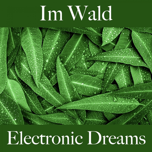 Im Wald: Electronic Dreams - Die Beste Musik Zum Entspannen