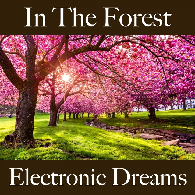 In The Forest: Electronic Dreams - The Best Music For Relaxation