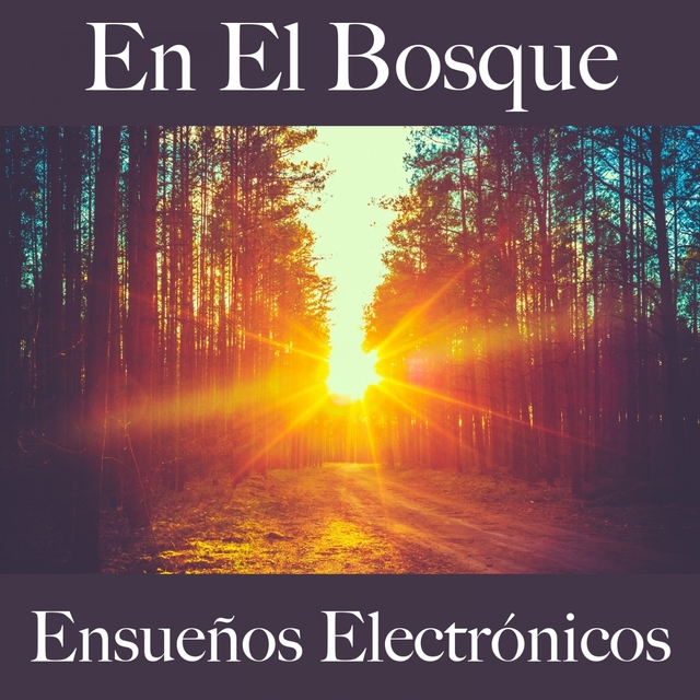 En El Bosque: Ensueños Electrónicos - La Mejor Música Para Descansarse