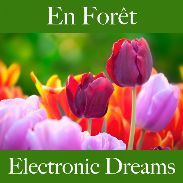 En Forêt: Electronic Dreams - La Meilleure Musique Pour Se Détendre