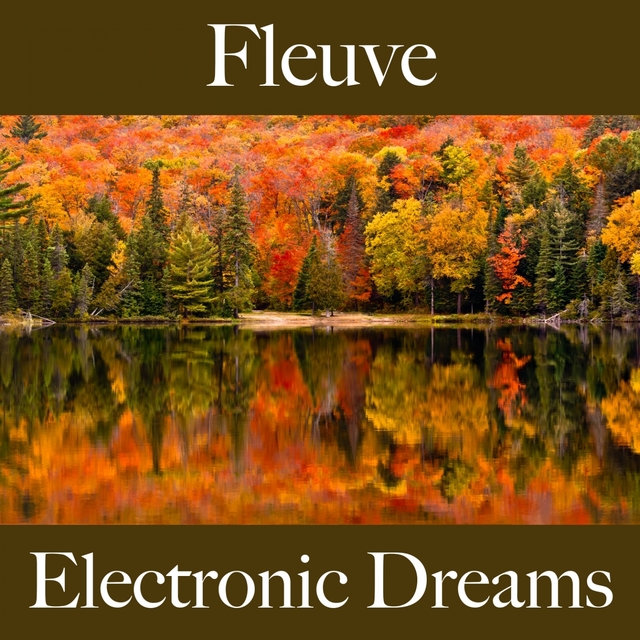 Fleuve: Electronic Dreams - La Meilleure Musique Pour Se Détendre