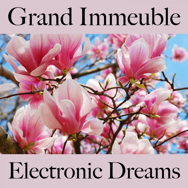 Grand Immeuble: Electronic Dreams - Les Meilleurs Sons Pour Se Détendre