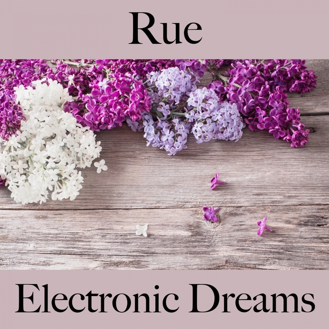 Rue: Electronic Dreams - Les Meilleurs Sons Pour Se Détendre