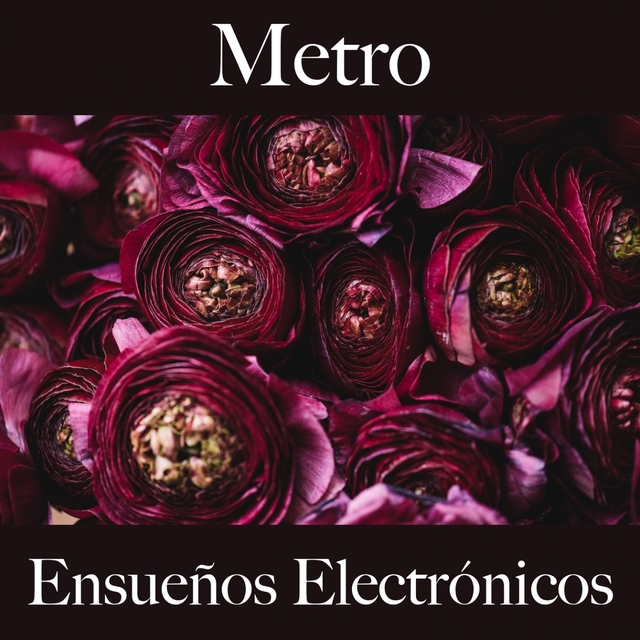 Metro: Ensueños Electrónicos - Los Mejores Sonidos Para Descansarse