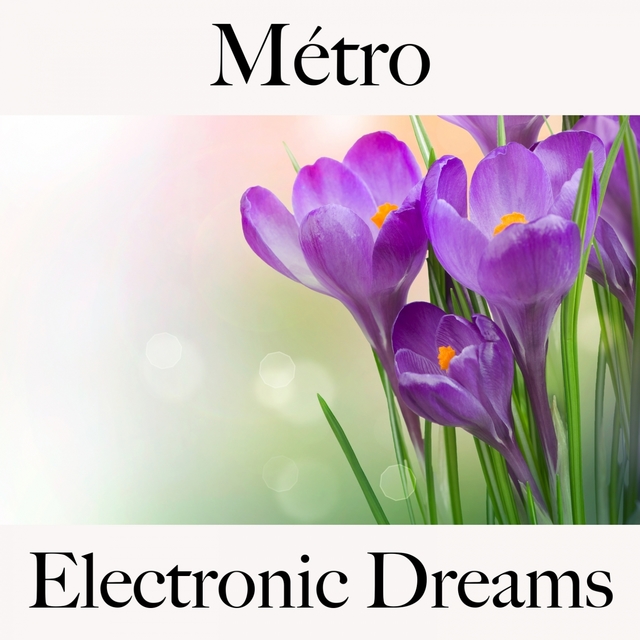 Métro: Electronic Dreams - Les Meilleurs Sons Pour Se Détendre