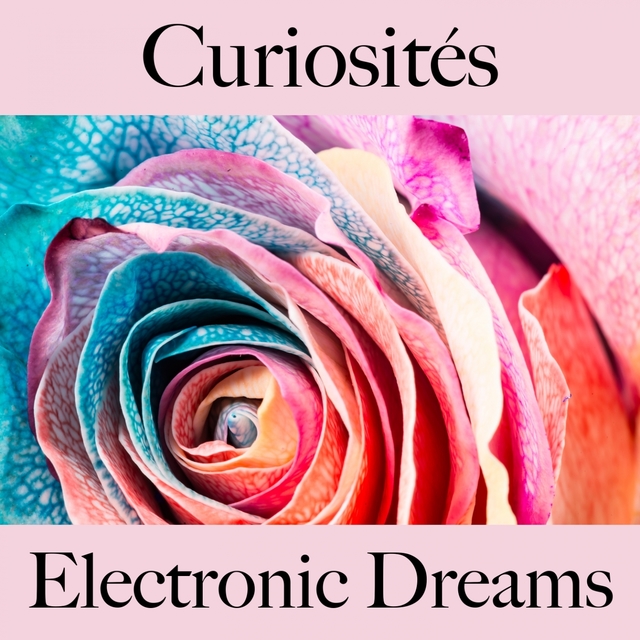 Curiosités: Electronic Dreams - Les Meilleurs Sons Pour Se Détendre