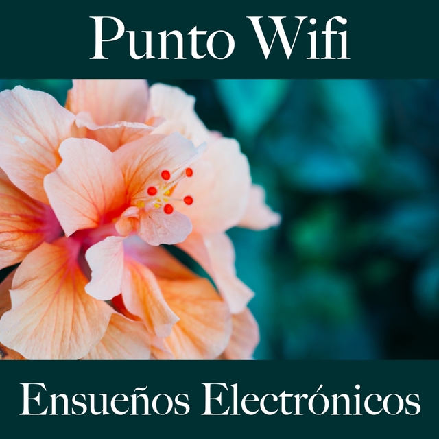 Punto Wifi: Ensueños Electrónicos - Los Mejores Sonidos Para Descansarse