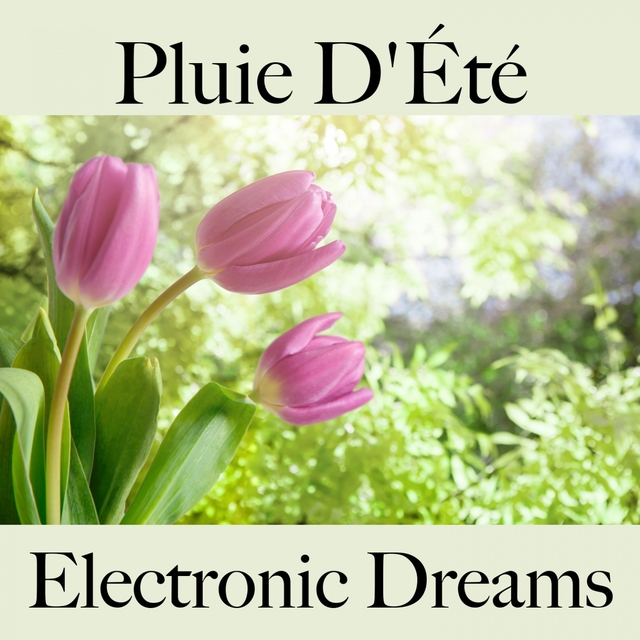 Pluie D'Été: Electronic Dreams - La Meilleure Musique Pour Se Détendre