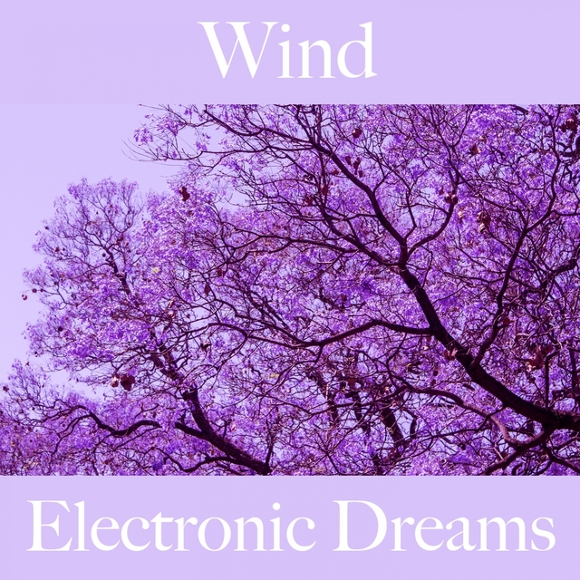 Wind: Electronic Dreams - Die Beste Musik Zum Entspannen